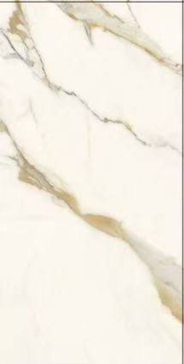 Time Dorado Polished 12 x 24